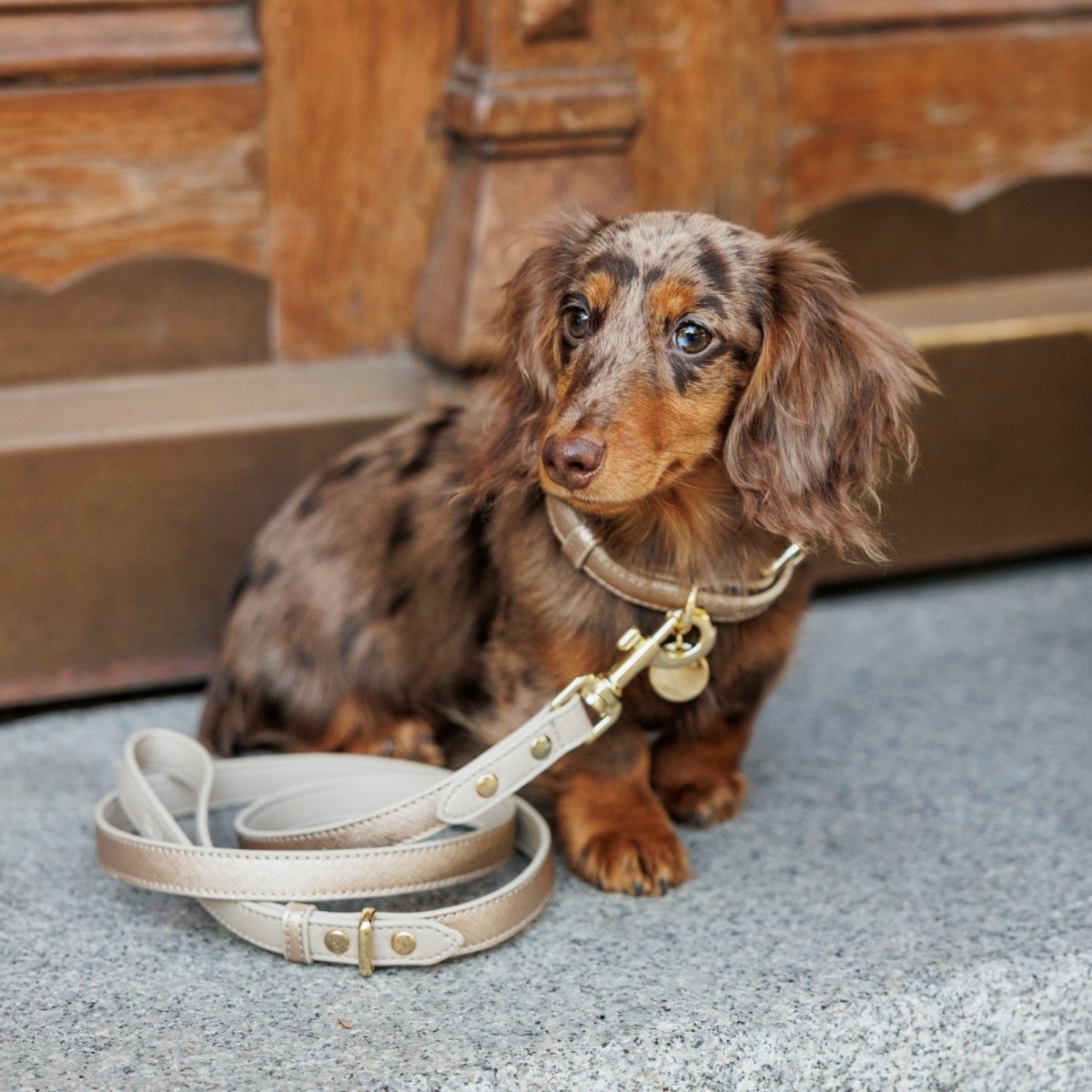 Leash 4ft - Vegan Leather - Tampa Home & Garden Store