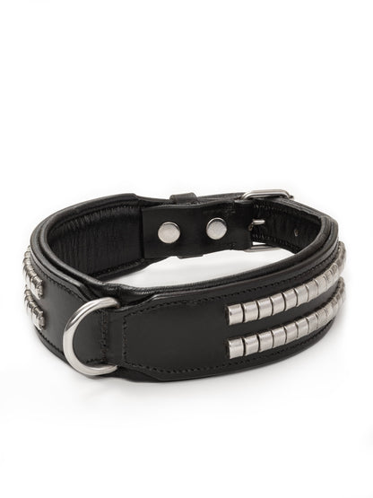 Leather Collar with Designer Studs - Tampa Home & Garden Store