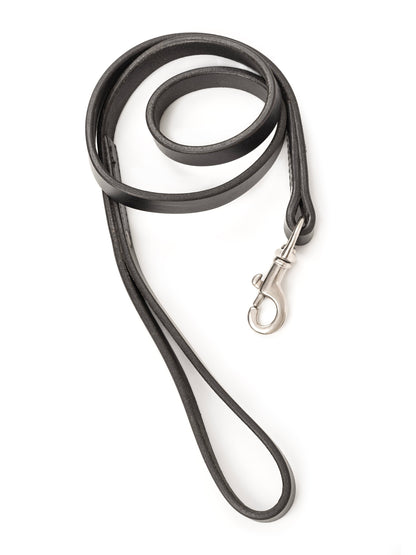 Leather Dog Leash - Tampa Home & Garden Store