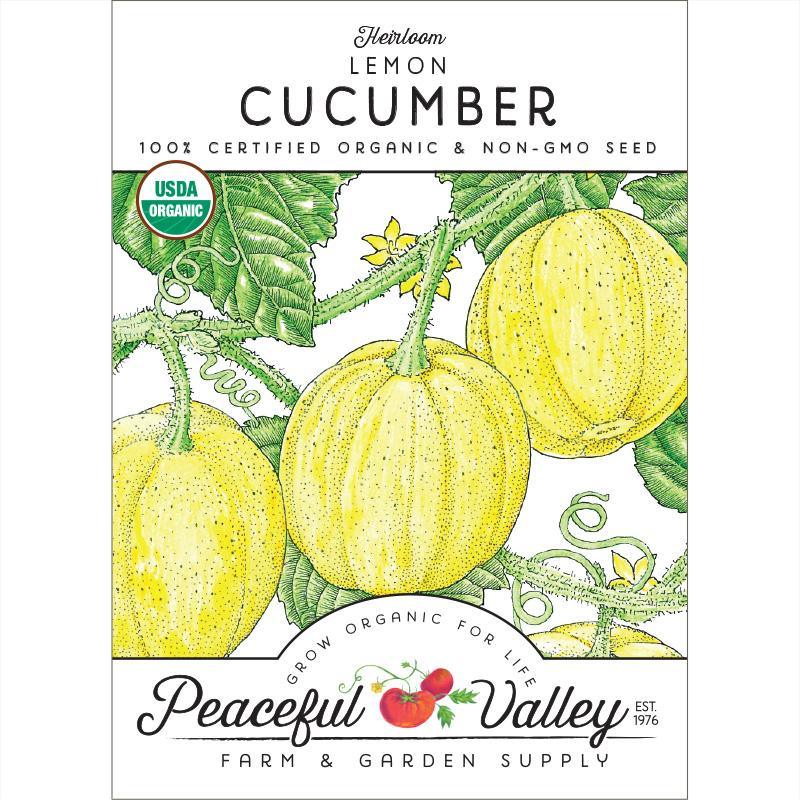 Lemon Cucumber Seeds (Organic) - Tampa Home & Garden Store