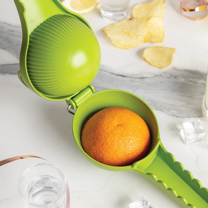 Lemongator - Tampa Home & Garden Store