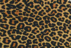 Leopard Series 12 Pack Cooler - Tampa Home & Garden Store