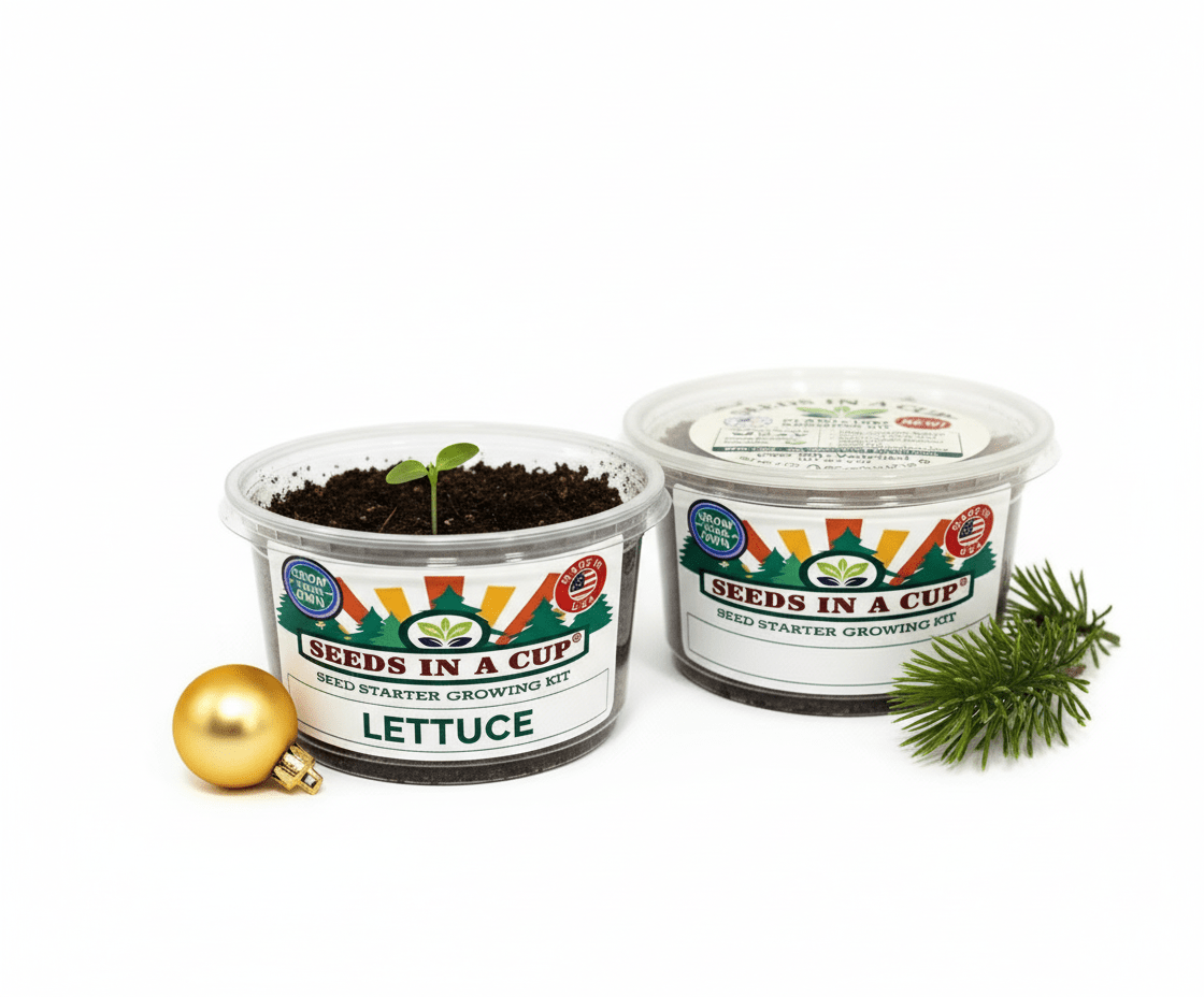 Lettuce Grow Kit - Tampa Home & Garden Store