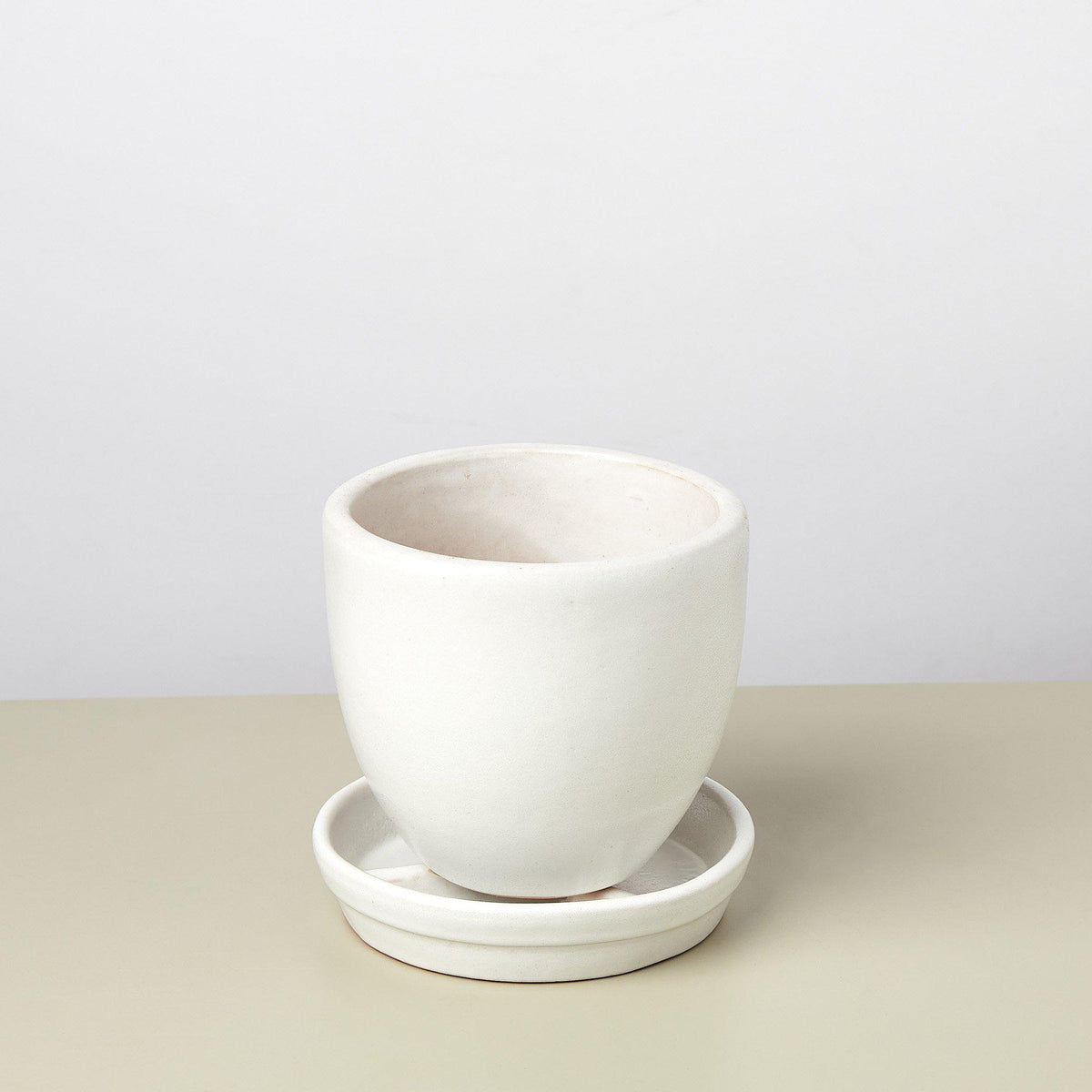 Liberty Bell Planter ceramic white pot with saucer by House Plant Shop on Tampa Home & Garden Store