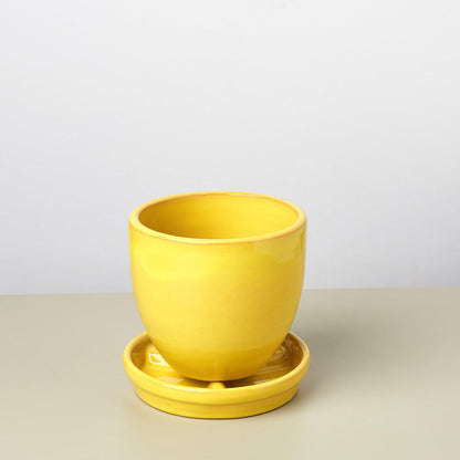 Liberty Bell Planter yellow ceramic pot with matching saucer by House Plant Shop on Tampa Home & Garden Store
