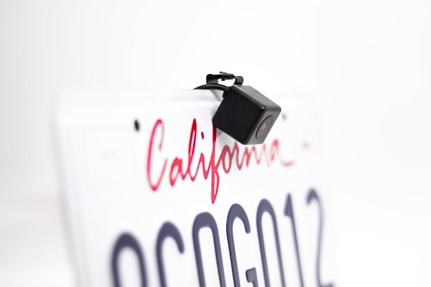 Master Tailgaters small license plate camera, IP68, 170° wide angle, black housing on Tampa Home & Garden Store