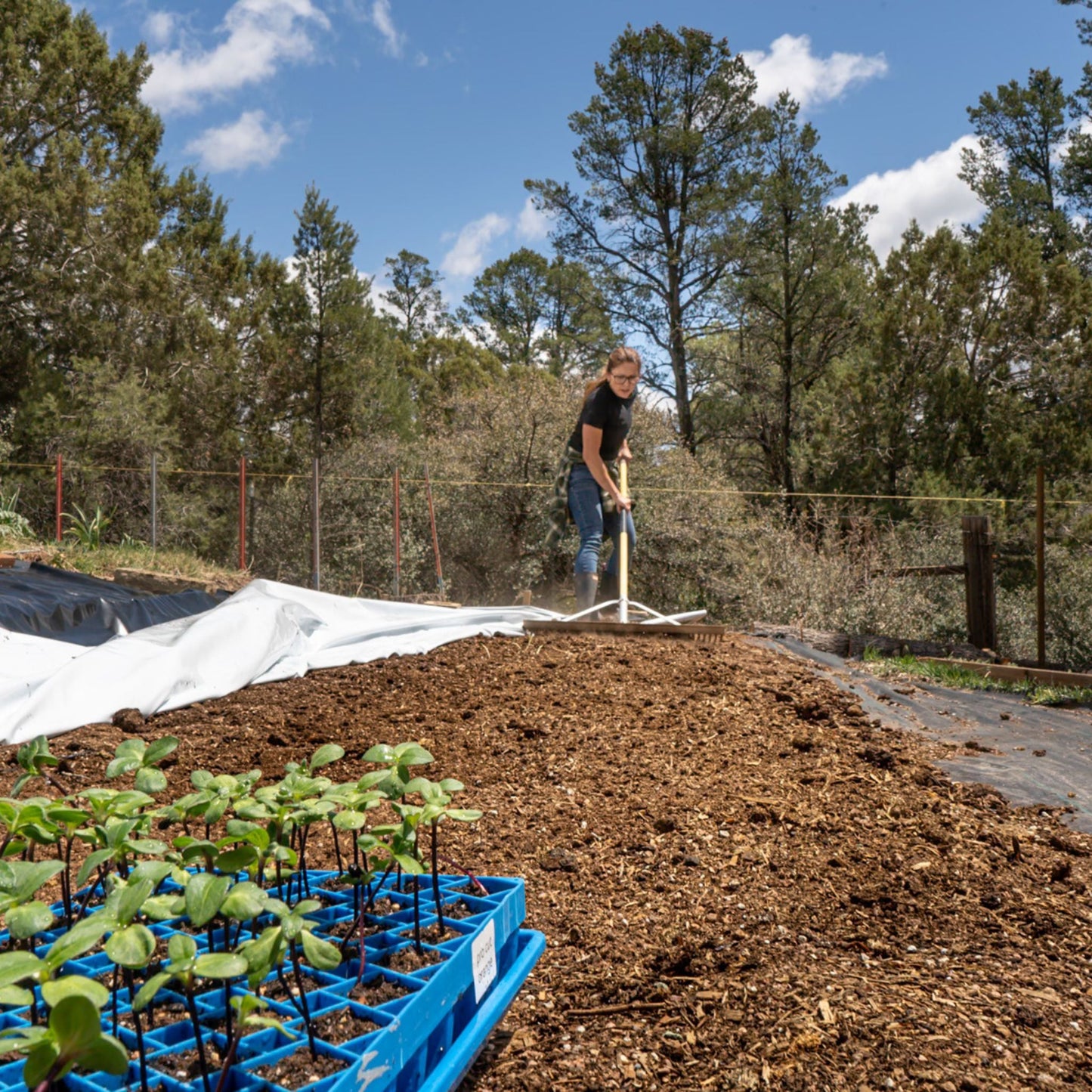 Light Deprivation Tarp Blackout Plastic & Weed Blackout | 6 mil - Tampa Home & Garden Store