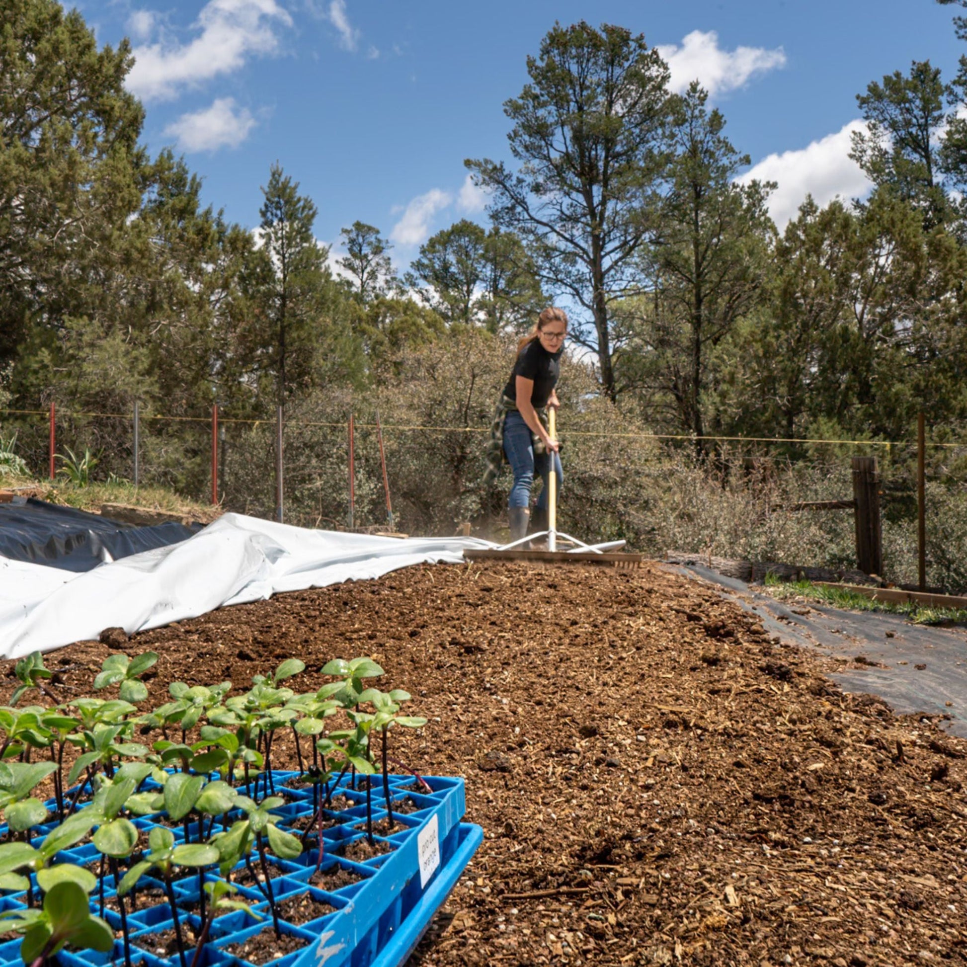 Light Deprivation Tarp Blackout Plastic & Weed Blackout | 6 mil - Tampa Home & Garden Store