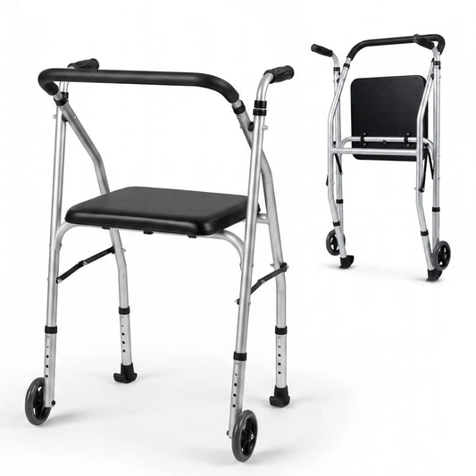 Lightweight Aluminum Mobility Walker with 2 Wheels