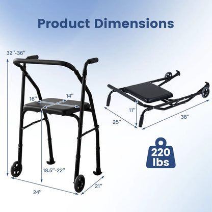 Lightweight Aluminum Mobility Walker with 2 Wheels