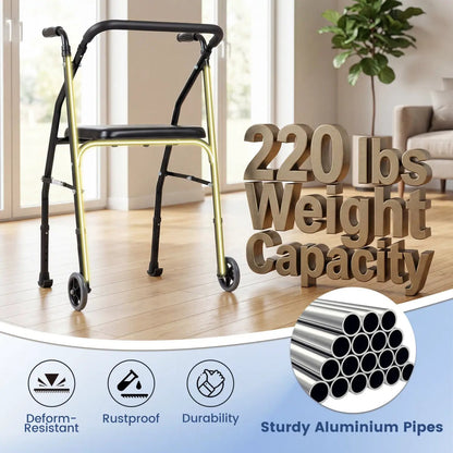 Lightweight Aluminum Mobility Walker with 2 Wheels