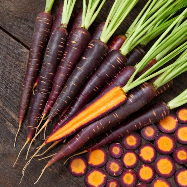 Lila Lu Carrot Seeds: purple carrots with green tops and orange centers on rustic wood on Tampa Home & Garden Store