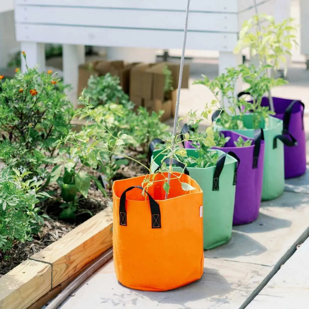 Bolsas de cultivo - Macetas de tela de colores de 7 galones