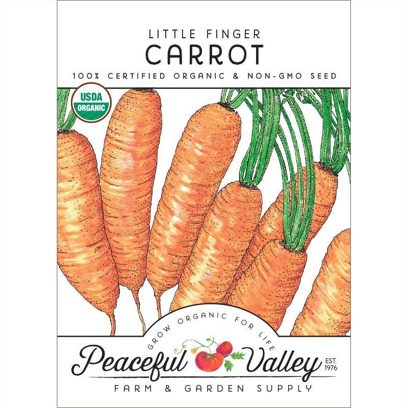 Little Finger Carrot Seeds (Organic) - Tampa Home & Garden Store
