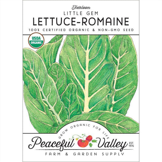 Little Gem Lettuce Seeds (Organic) - Tampa Home & Garden Store