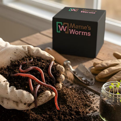 Living Material + Red Wiggler Composting Worms Eisenia andrei - Tampa Home & Garden Store