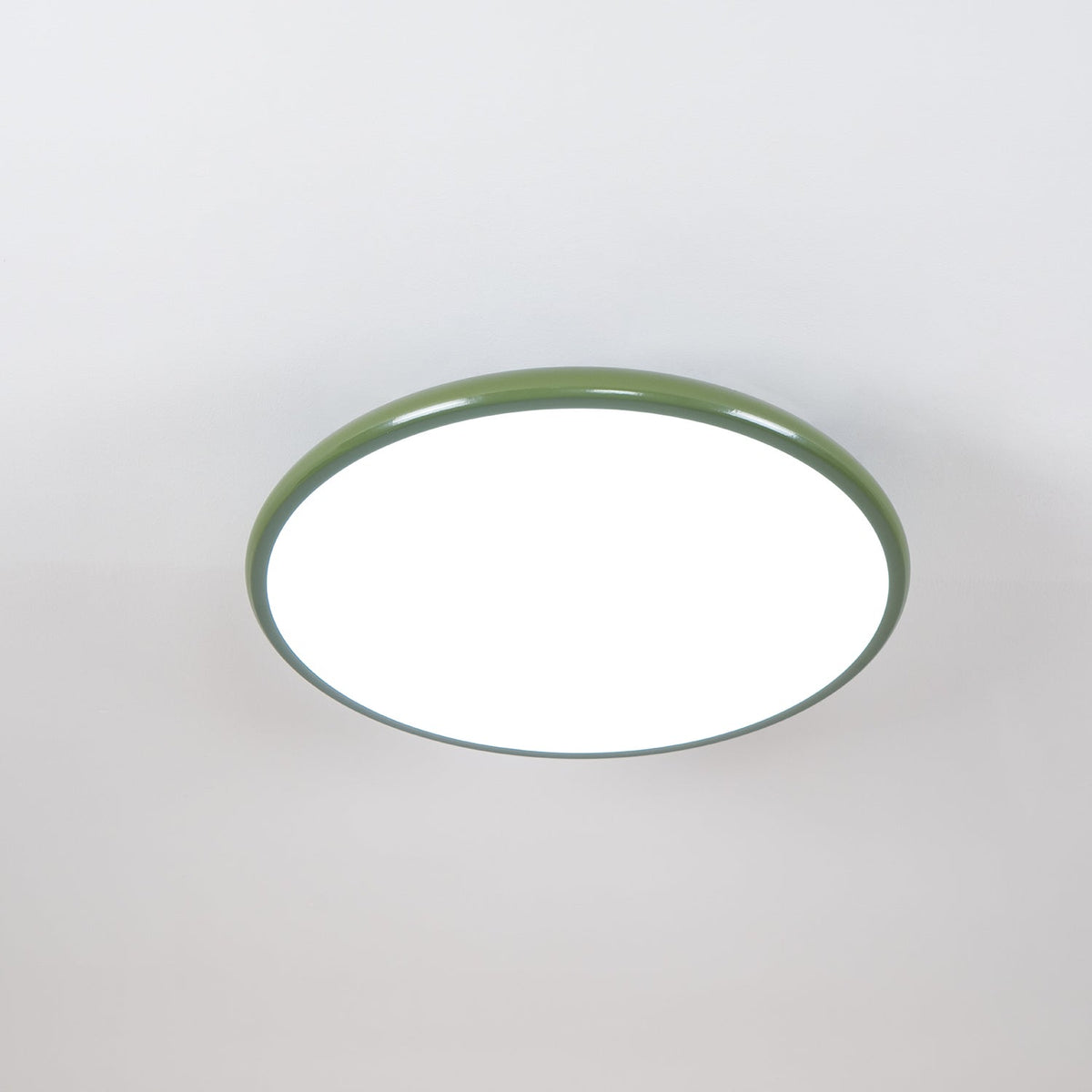 Orbitra flush mount LED ceiling light, green ring with white diffuser, Moktan Sabai on Tampa Home & Garden Store