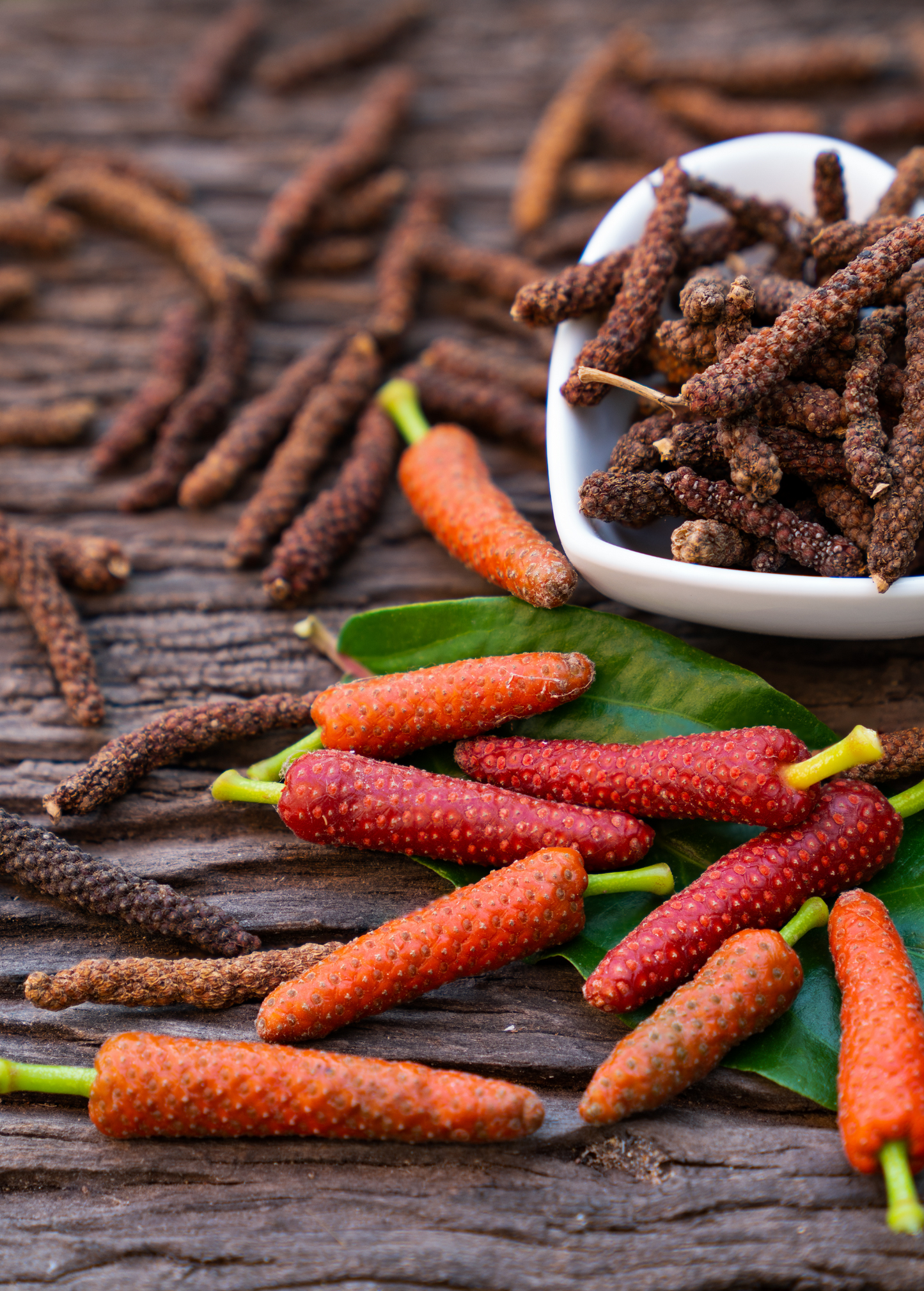 Long Pepper (Piper longum) - Tampa Home & Garden Store