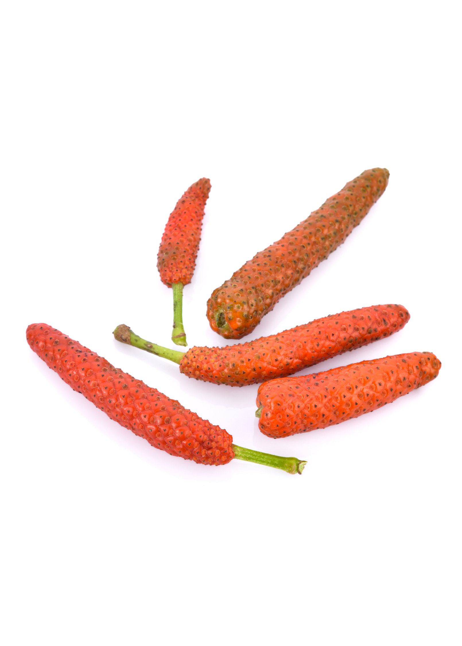 Long Pepper (Piper longum) - Tampa Home & Garden Store