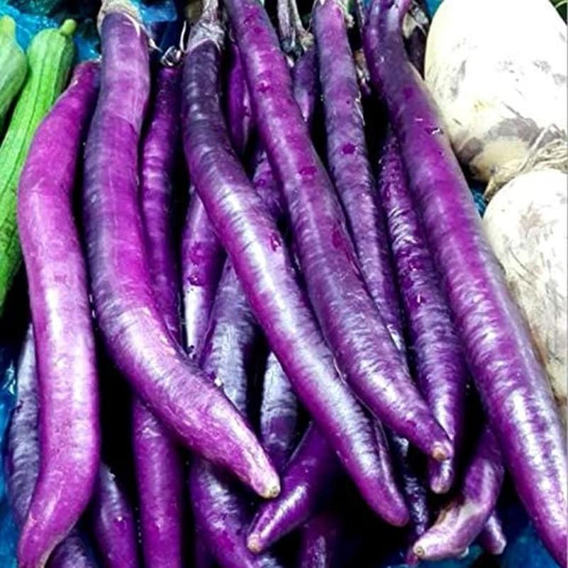 Long Purple Eggplant Seeds - Solanum Melongena - Non-Gmo Aubergine Asian Vegetable - Tampa Home & Garden Store