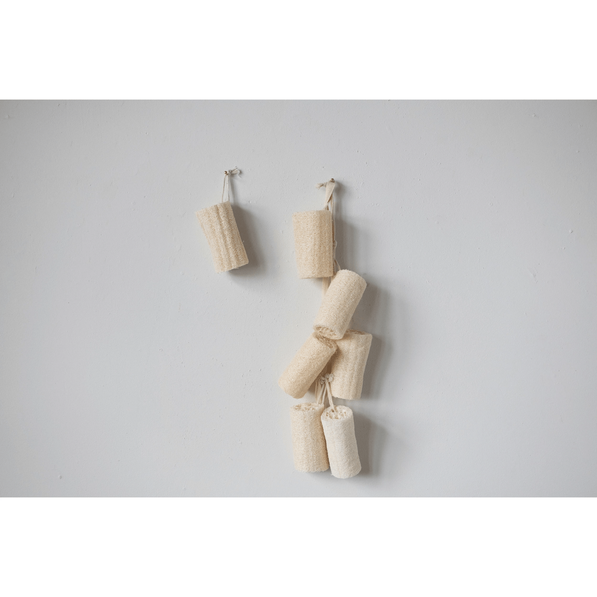 Loofah Brush with Cotton Rope Hanger, Natural - Tampa Home & Garden Store