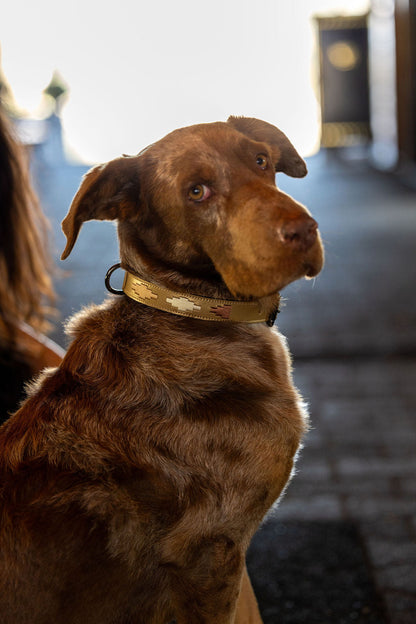 Gilded Solstice Leather Dog Collar by Halter Ego, tan leather with light metallic geometric bone motifs on Tampa Home & Garden Store