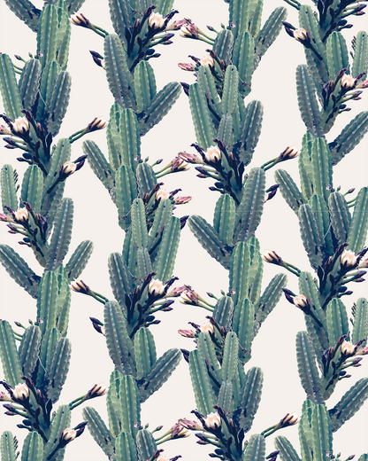 Los Cactus Wallpaper, off-white - Tampa Home & Garden Store