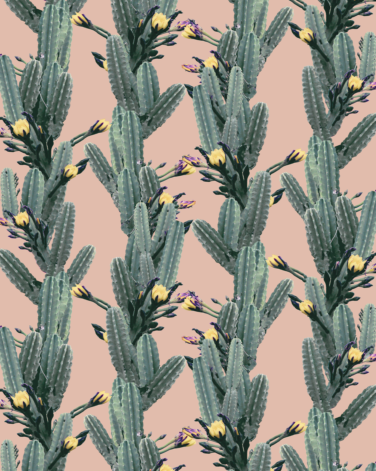 Los Cactus Wallpaper, peach - Tampa Home & Garden Store