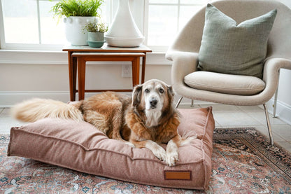 Lounger Pet Bed in Pittie Pink - Tampa Home & Garden Store