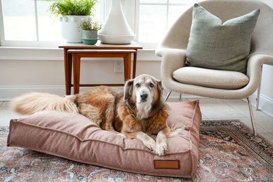 Lounger Pet Bed in Pittie Pink - Tampa Home & Garden Store