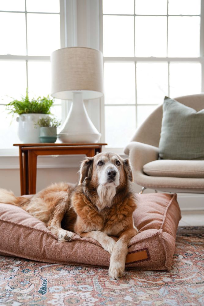 Lounger Pet Bed in Pittie Pink - Tampa Home & Garden Store