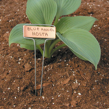 Luster Leaf Classic Impressions Garden 10" Plant Labels | Copper or Zinc 10 Pk. - Tampa Home & Garden Store