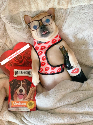 Luxury Red Lips Breathable Mesh Harness Chest Back + Traction - Tampa Home & Garden Store