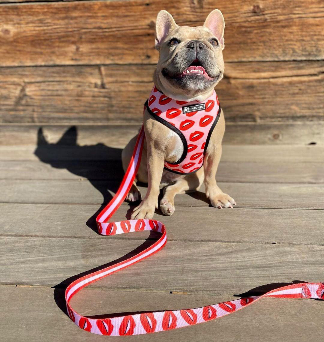 Luxury Red Lips Breathable Mesh Harness Chest Back + Traction - Tampa Home & Garden Store