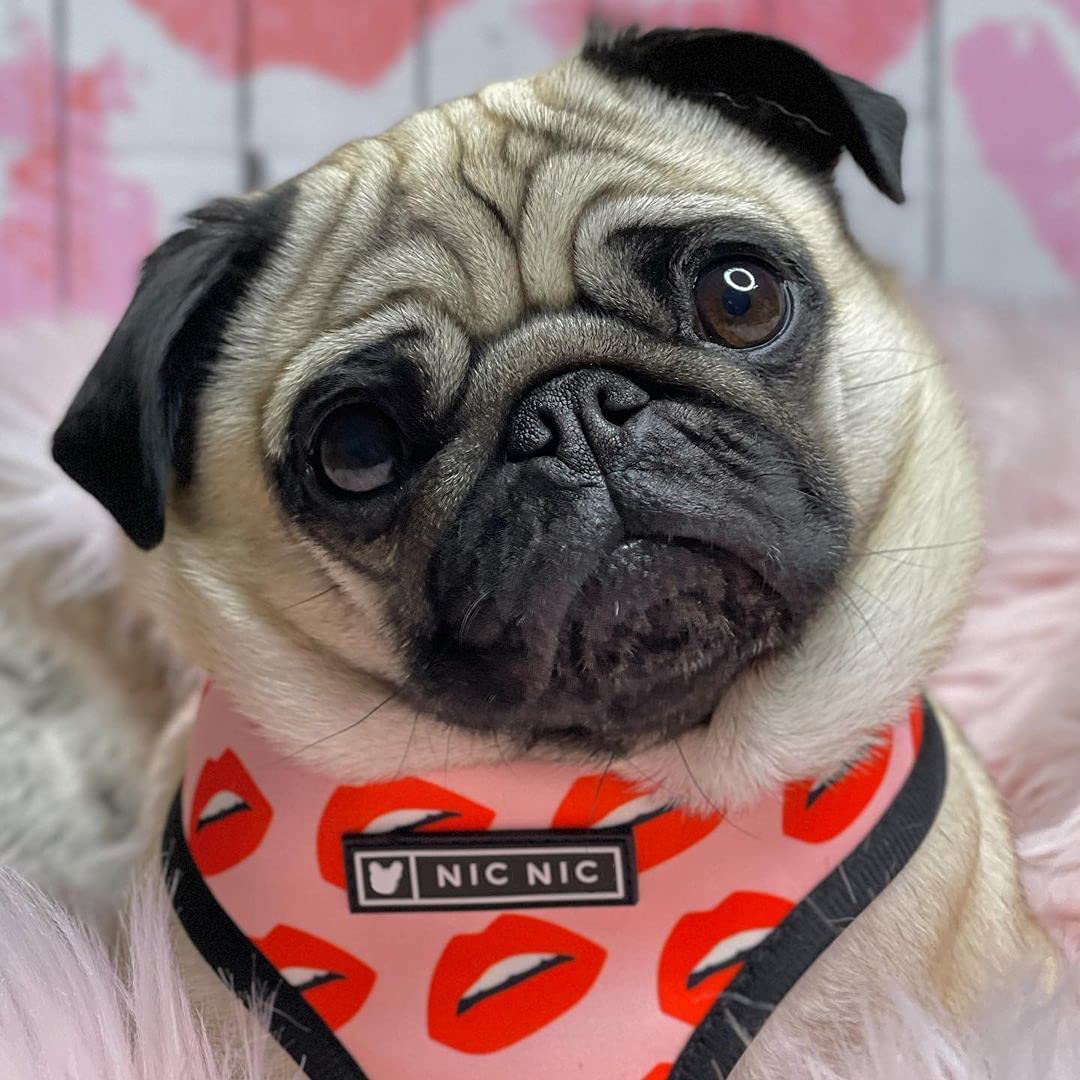 Luxury Red Lips Breathable Mesh Harness Chest Back + Traction - Tampa Home & Garden Store