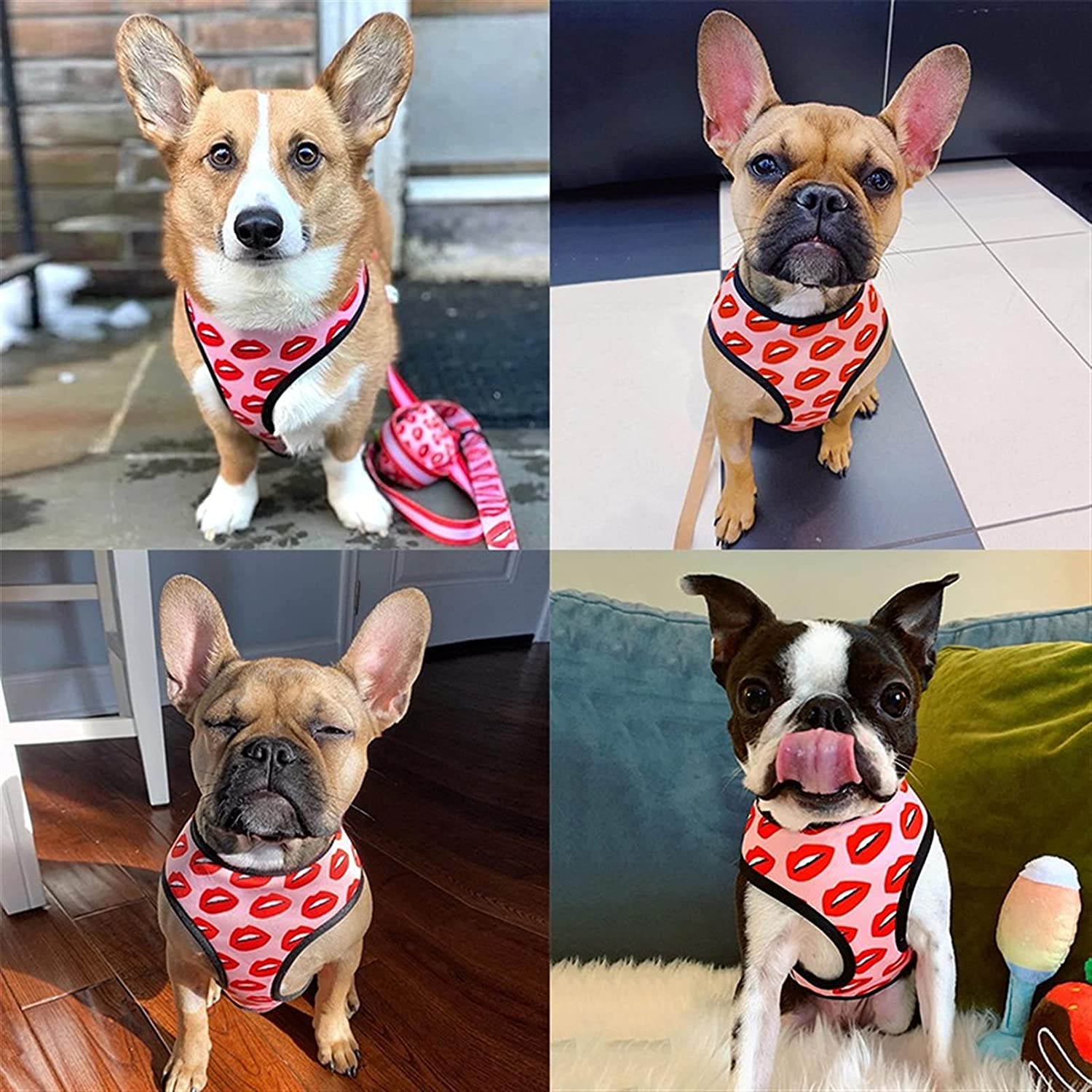 Luxury Red Lips Breathable Mesh Harness Chest Back + Traction - Tampa Home & Garden Store