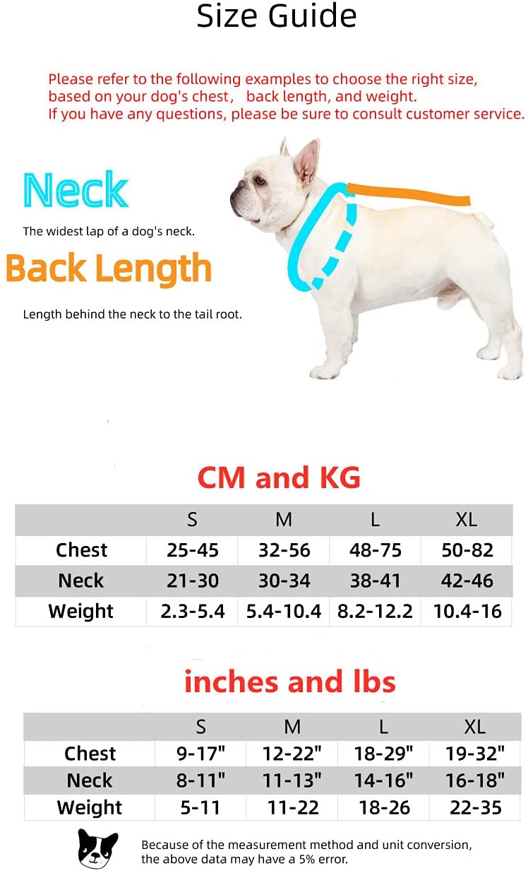 Luxury Red Lips Breathable Mesh Harness Chest Back + Traction - Tampa Home & Garden Store