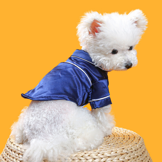 Luxury Soft Silk Pajamas - Tampa Home & Garden Store