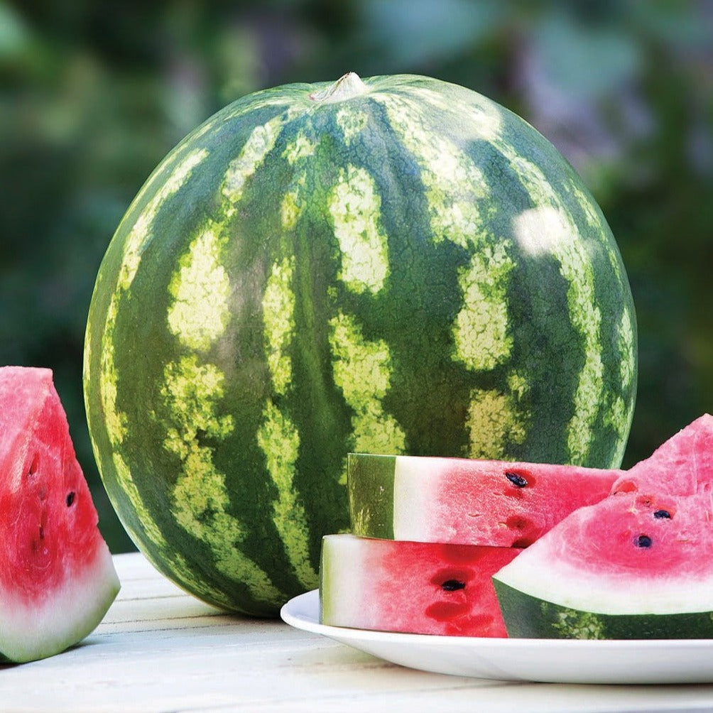 Crimson Sweet Watermelon whole fruit with green striped rind and sliced wedges on plate on Tampa Home & Garden Store