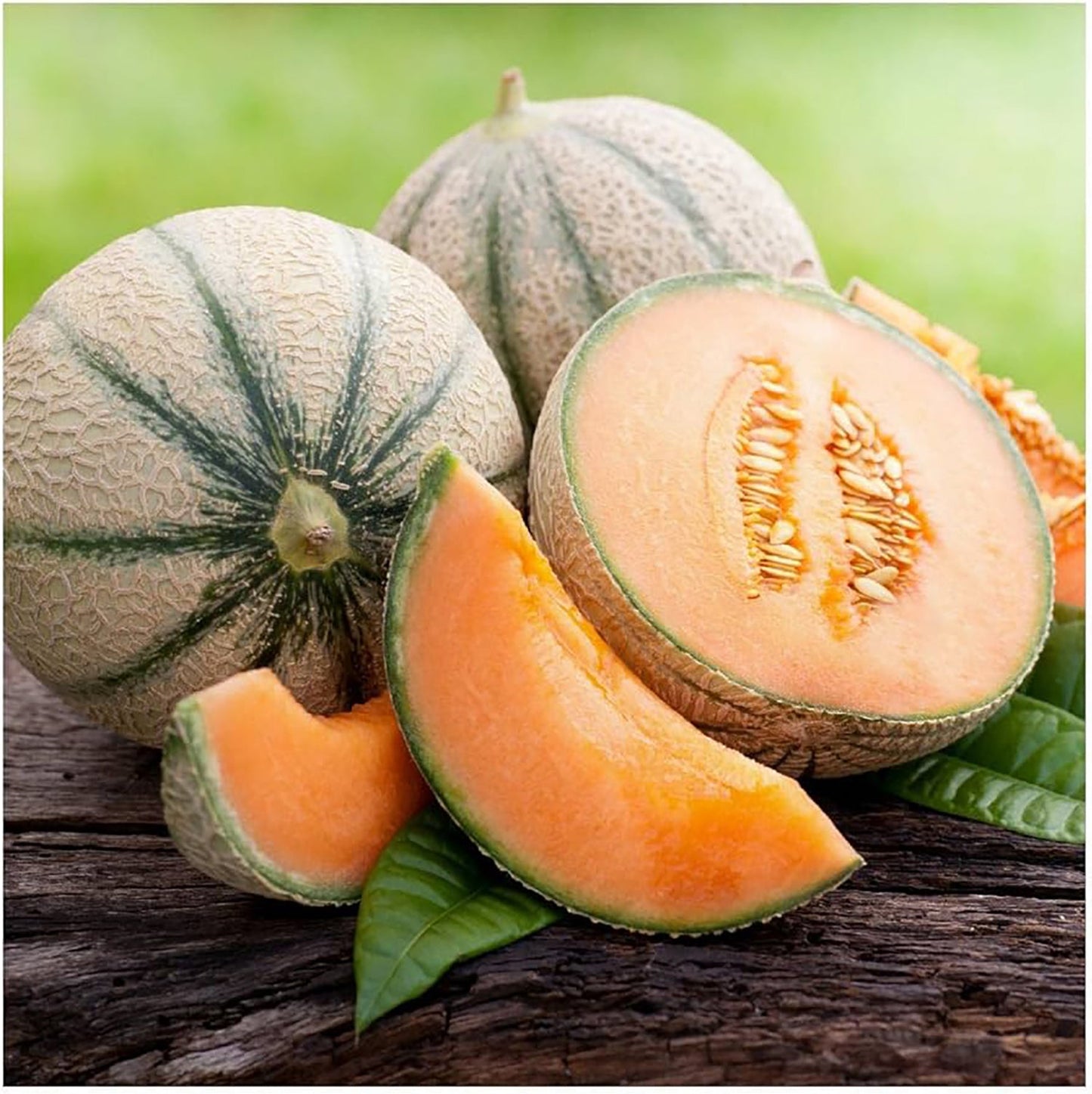 Planters Jumbo Cantaloupe seeds image with whole and sliced cantaloupes orange flesh on wood on Tampa Home & Garden Store