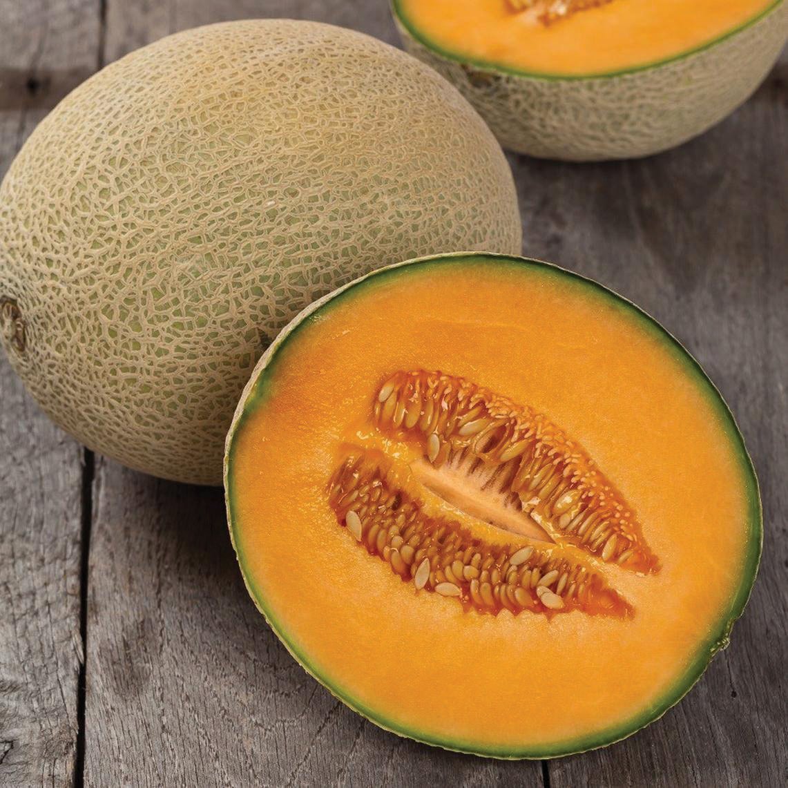 Hales Best Jumbo Cantaloupe Melon with netted rind and orange flesh seed center on wood surface on Tampa Home & Garden Store