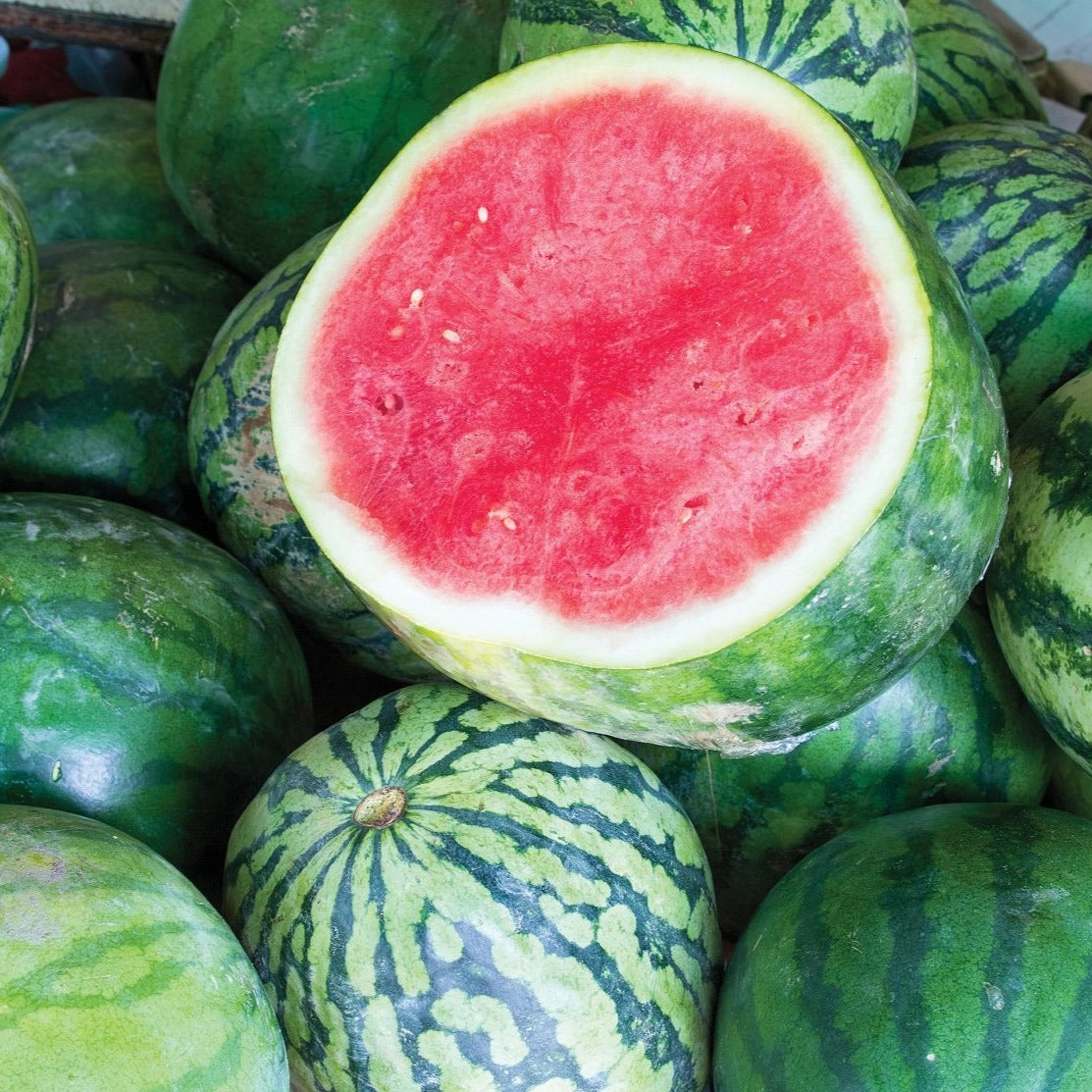 Dixie Queen Watermelon seeds: group of green striped watermelons with red flesh visible on Tampa Home & Garden Store