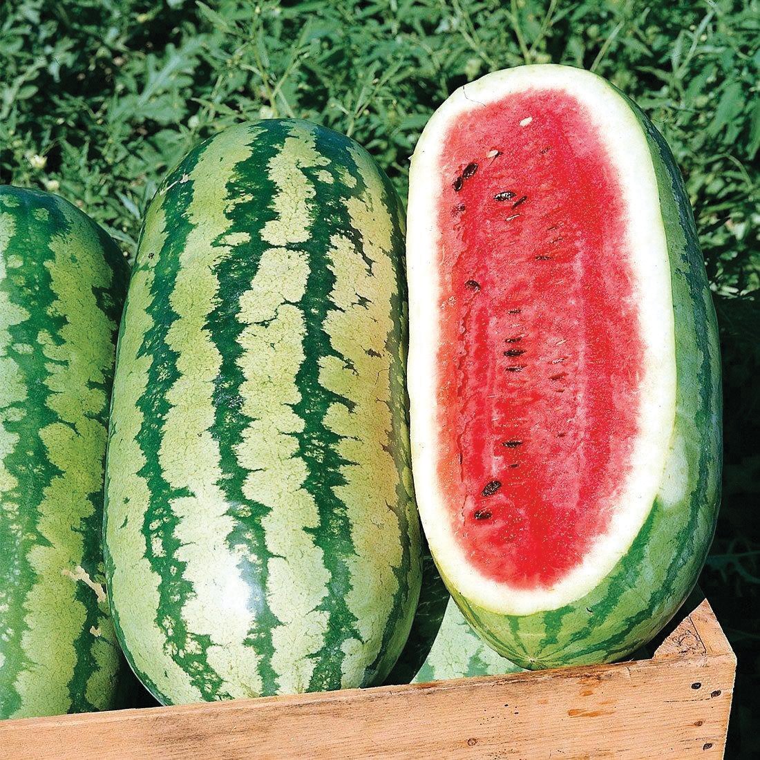 Jubilee watermelon trio in crate with one half sliced to show red flesh and green striped rind on Tampa Home & Garden Store