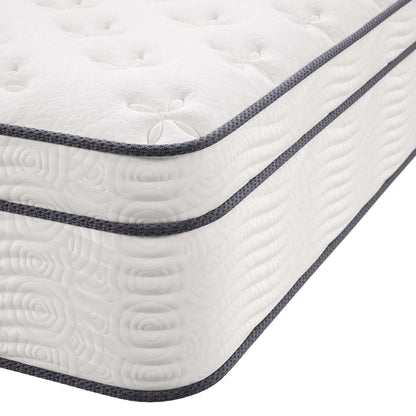 Jenna 14in Innerspring & Foam Mattress Twin by Modway, white quilted top with gray edge binding on Tampa Home & Garden Store