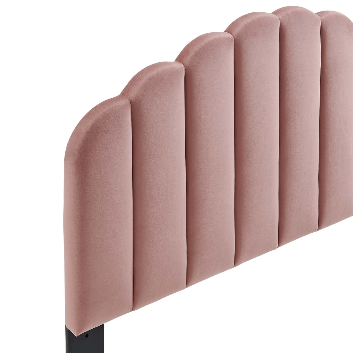 Veronique Performance Velvet Twin Headboard by Modway in dusty rose velvet with black metal legs on Tampa Home & Garden Store