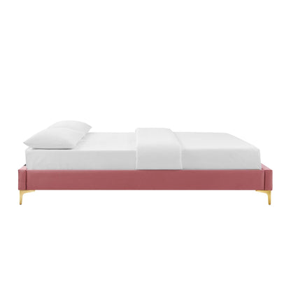 Sutton Performance Velvet Bed Frame by Modway in pink velvet with gold legs on Tampa Home & Garden Store