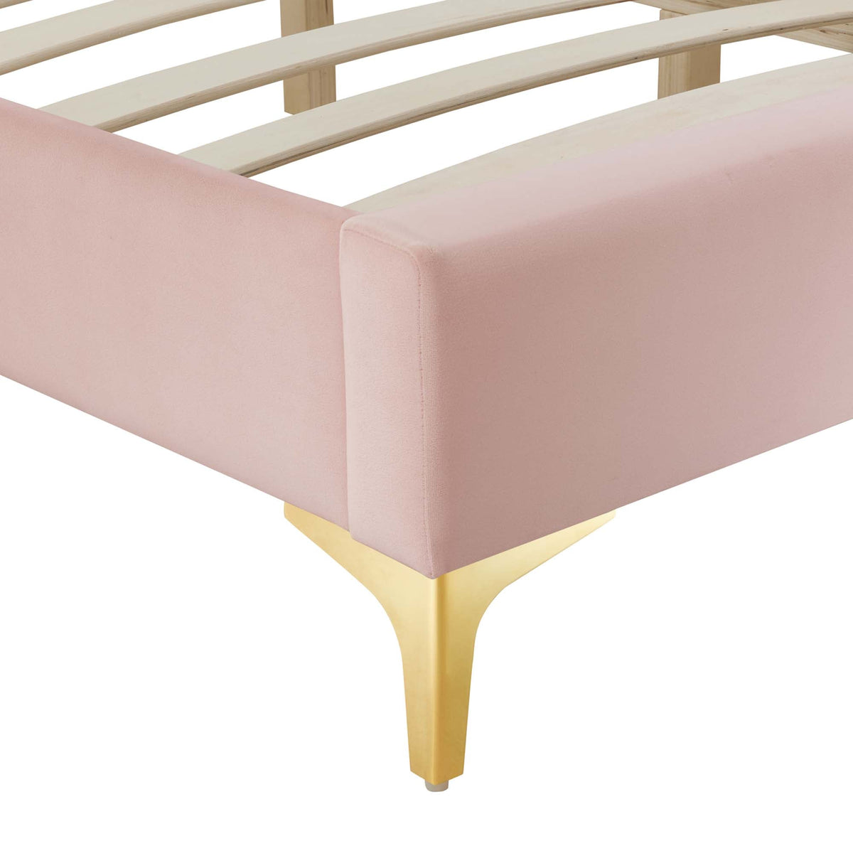 Sutton Performance Velvet Bed Frame by Modway blush pink velvet bed skirt with gold legs on Tampa Home & Garden Store