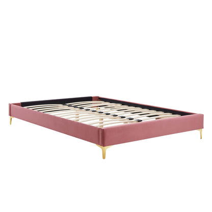 Modway Sutton Performance Velvet Bed Frame pink velvet with gold tapered legs and slats on Tampa Home & Garden Store