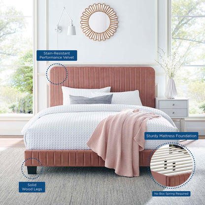 Celine Tufted Performance Velvet Twin Bed