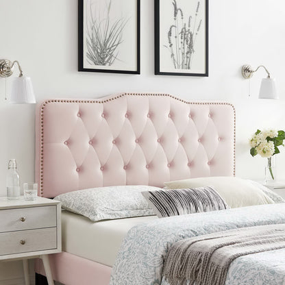 Sophia Tufted Performance Velvet Headboard in pink with nailhead trim, chic bedroom focal point on Tampa Home & Garden Store